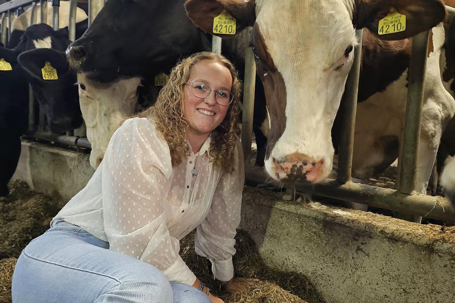 De favoriete koe van Naomi Wilpstra is koe 4210. Naomi voedde haar zelf op, waardoor de koe nu heel erg mak is en altijd naar haar toekomt. Ze heeft dit jaar een kalfje gekregen, die Naomi ook mak wil maken en misschien wel mee naar veekeuringen wilt nemen