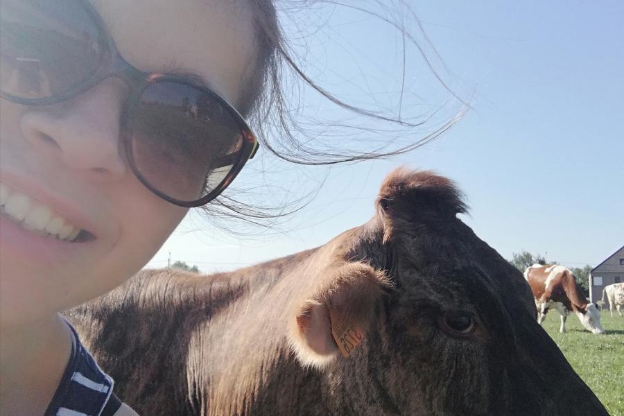 Alida, de lievelingskoe van Nathalie De Cock, heeft niet voor niets de bijnaam ‘streepjeskoe’ of ‘tijgerkoe’; als kalf zag ze eruit als een gewone kruising met brown swiss, maar toen ze opgroeide kreeg ze strepen