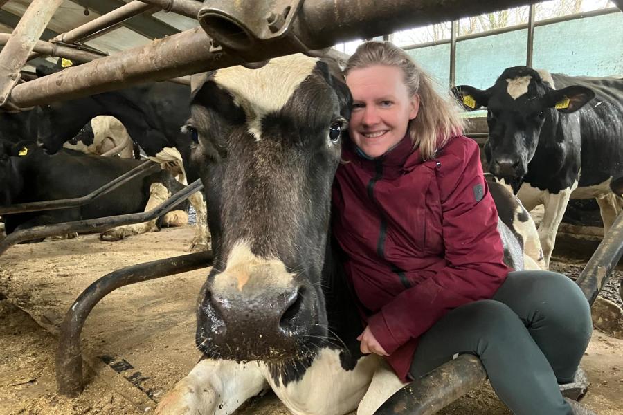 In 2019 poseerde Pietsje Koster voor het blad De Boerin van Veeteelt na een oproep over de mooiste plek van de boerderij. Voor Pietsje is dat lekker tegen haar koe Tine 953, ofwel Knuf, aanliggen. Met inmiddels haar 12,5 jaar begint ze wat grijs te worden