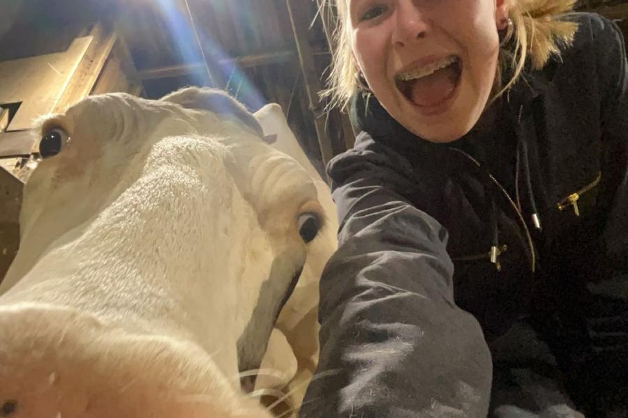Van kleins af aan doet Vera Timmerman met de naar haar vernoemde koe Bella Vera mee aan keuringen. Ze wonnen al verschillende prijzen, waaronder kampioen showmanship in 2018 in Putten en algemeen kampioen in Rouveen. Daarnaast valt de koe op daar haar lijsten van dik 10.000 liter met 4,92 procent vet en 3,76 procent eiwit