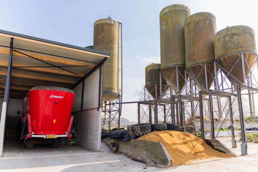 Op de dag zelf mengen ze het met gras, mais en bijproducten als perspulp en tarwegistconcentraat