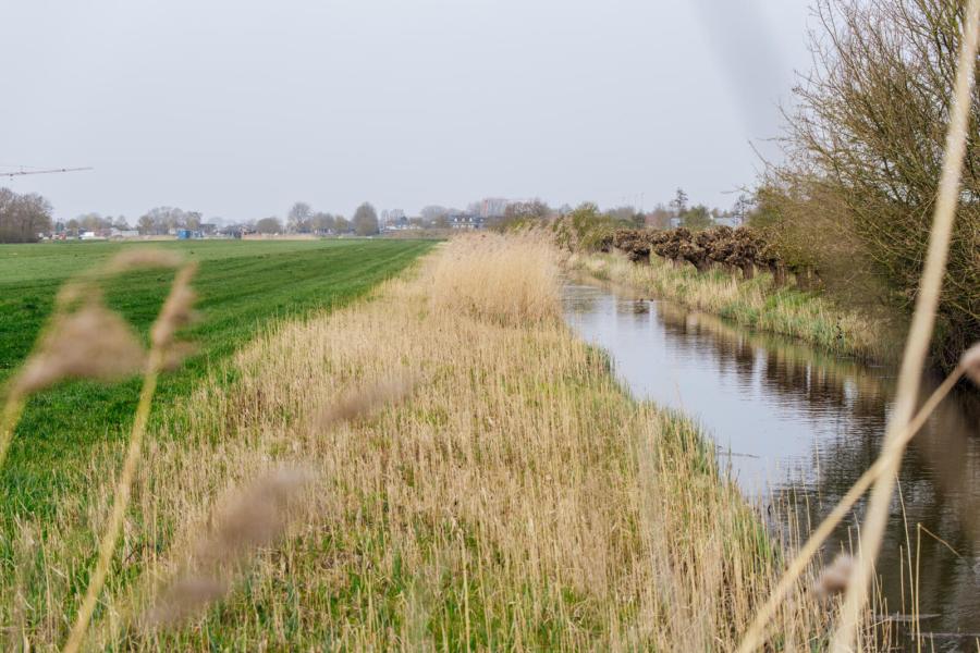 Ook buiten het erf zijn de melkveehouders actief. Via agrarische natuurvereniging De Capreton werken ze aan projecten zoals picknickbanken, voederhagen en natuurvriendelijke oevers. Het riet snijden en drogen ze en gebruiken ze in de potstal