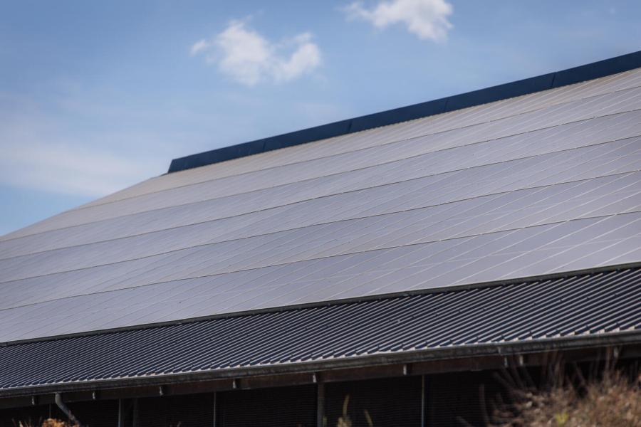 De staldaken liggen vol met zonnepanelen