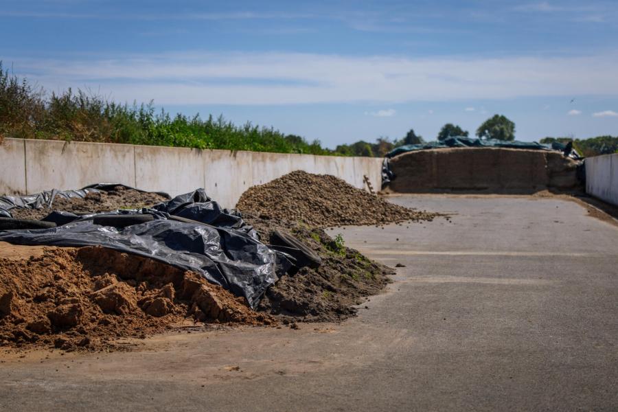 Naast mais voert Thijs momenteel ook aardappelen als zetmeelbron. Daarnaast gaat er perspulp, bierbostel en tarwegistconcentraat in het basisranstoen