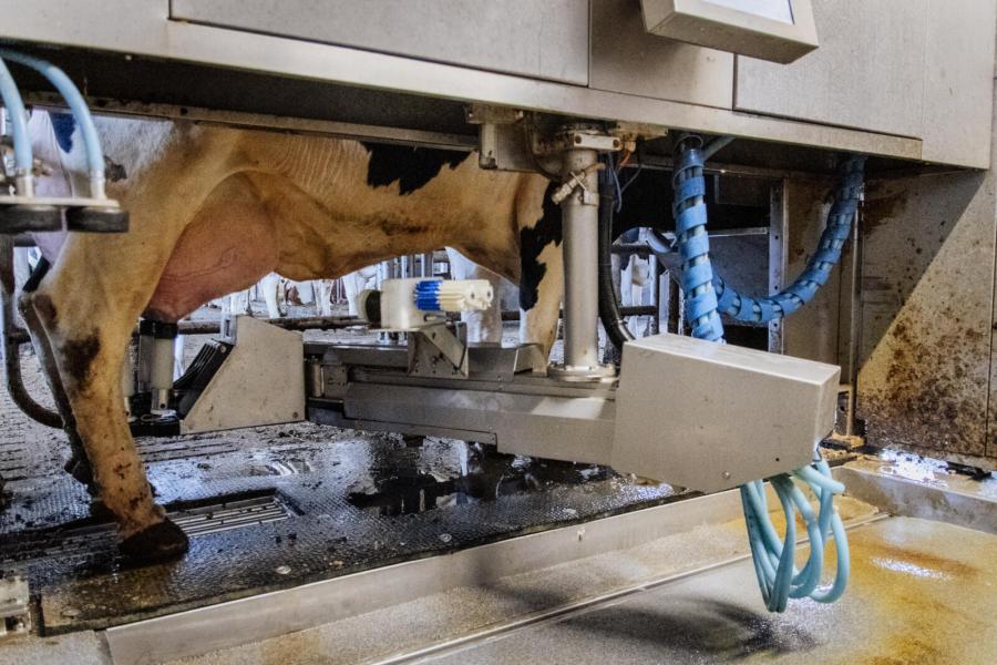 Afgelopen winter is de robotbenutting geoptimaliseerd, onder andere door minder krachtvoer in de robots te gaan voeren. Dit jaar hoopt Thijs circa 9,5 ton per robot te produceren
