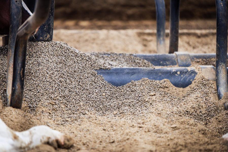 De veehouders vervingen de matrassen in de boxen door diepstrooiselboxen met stropellets, die uitzetten op het moment dat ze vochtig worden