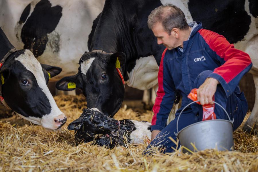Nog steeds worden er nieuwe nakomelingen uit de Esmeraldalijn op het bedrijf geboren