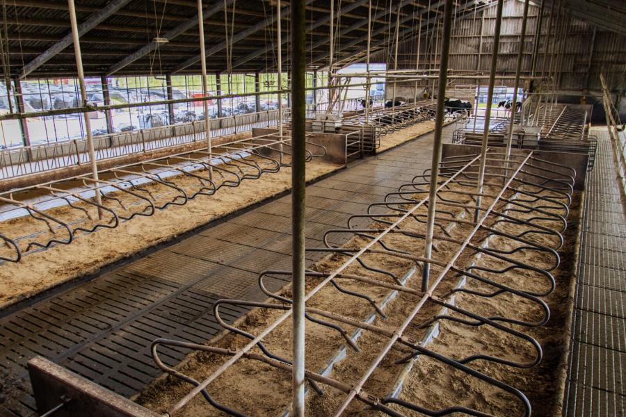 De koeien zijn gehuisvest in een arbeidsvriendelijke en overzichtelijke 0+4+0 stal