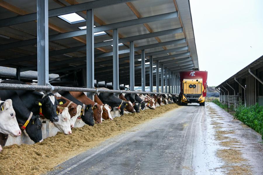 In 2012 werd er een stal bijgebouwd, daarna is er geïnvesteerd in koecomfort en productieverhoging. Hier is de laatste uitbreiding van een extra overkapping en rij boxen goed te zien.