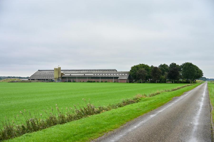 In 2002 werd volledig nieuw gebouwd, in eerste instantie een stal met ruimte voor 120 koeien en twee melkrobots. 