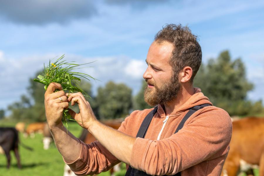 Robert vindt het een sport om de koeien op het juiste moment het juiste gras aan te bieden. Na elke melking krijgen de koeien een nieuw blokje gras. De ene keer is dat etgroen, de ander keer ouder gras dat al vaker beweid is. Zo probeert Robert een zo compleet mogelijk rantsoen met weidegras te maken