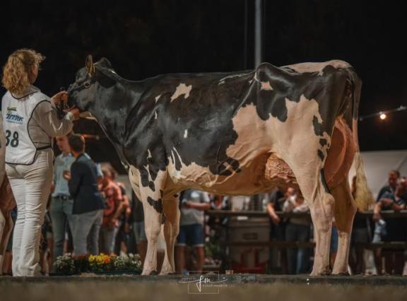 Els 3 (v. Rager) won in 2025 de eerste editie van de Dairy Fair by Night (foto: Fleur Maartje Bakker)