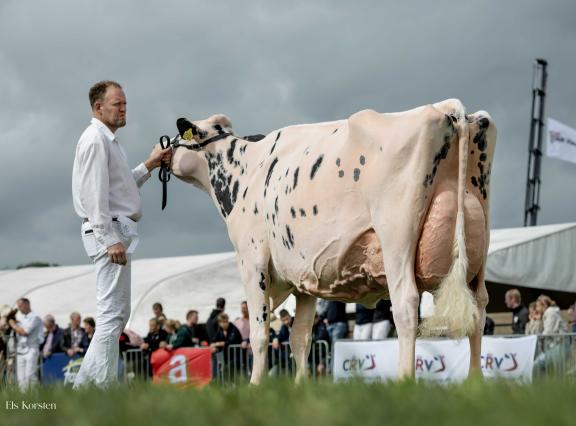 Bons-Holsteins Koba 253 (v. Solomon) wint de dagzege in Hoornaar (foto: Els Korsten)