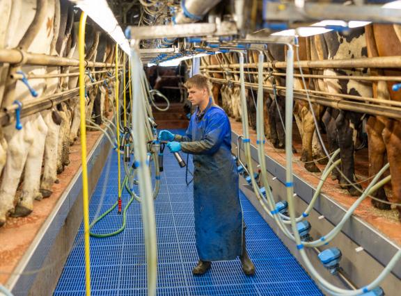 Opgeteld over het eerste half jaar nam de melkaanvoer van de 27 EU-landen met 3,5 procent toe