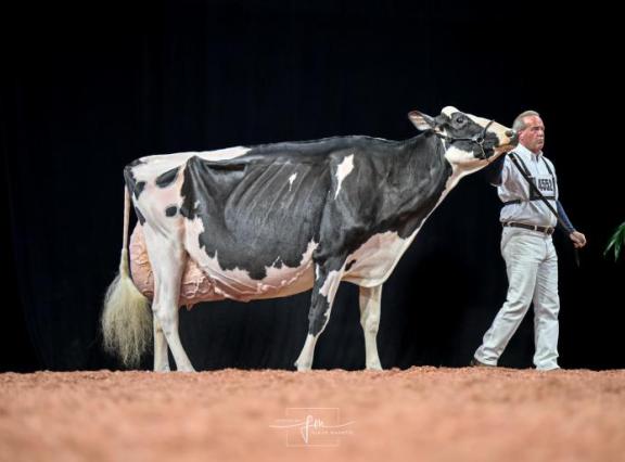 Footloose in actie tijdens de World Dairy Expo in 2023 (foto: Fleur Maartje Bakker)