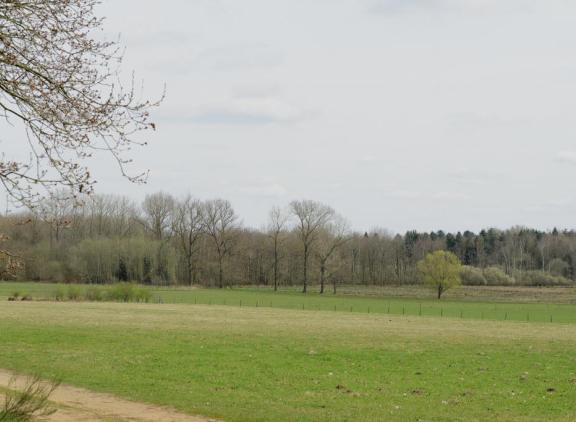 In de EU zijn ongeveer 27.000 gebieden aangewezen als Natura 2000-gebied