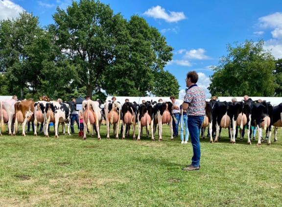 In Vriezenveen gaven elf bedrijfscollecties acte de présence, links de winnende groep van Abbink Melkveehouderij van bedrijfsleider Emiel Willems (foto: Johannes Schipper)