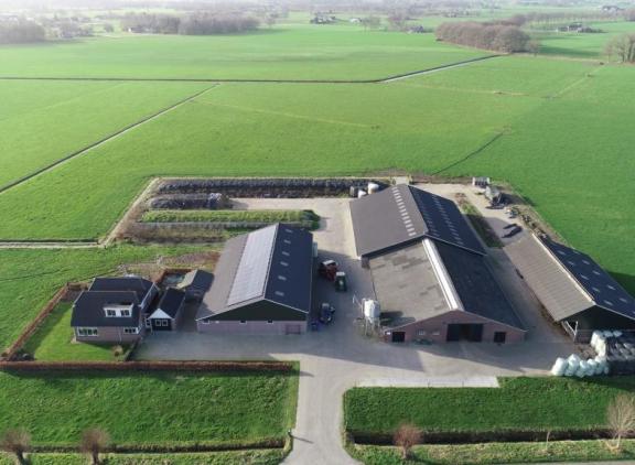 ‘De overheid zal de last van het stikstofbeleid niet alleen bij boeren moeten neerleggen’, stellen 36 wetenschappers van acht universiteiten