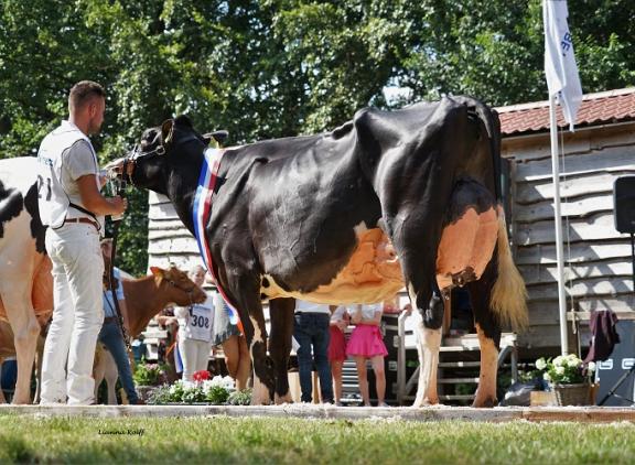 Tineke 799 (v. Malki) mag zich een jaar lang Barones van de Mariënwaerdt noemen (foto: Lianna Kolff)