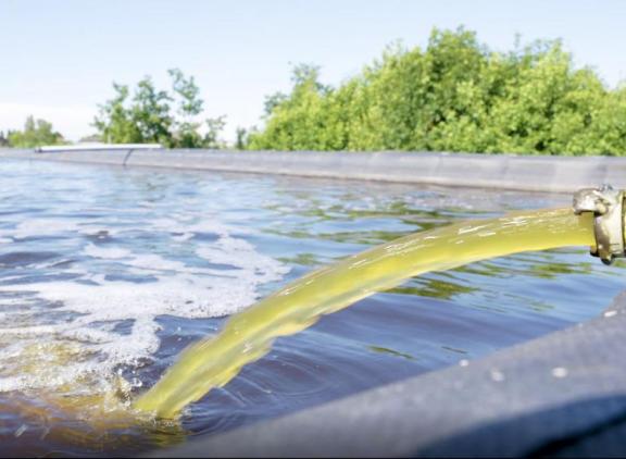 De koeienurine wordt gemengd met beregeningswater