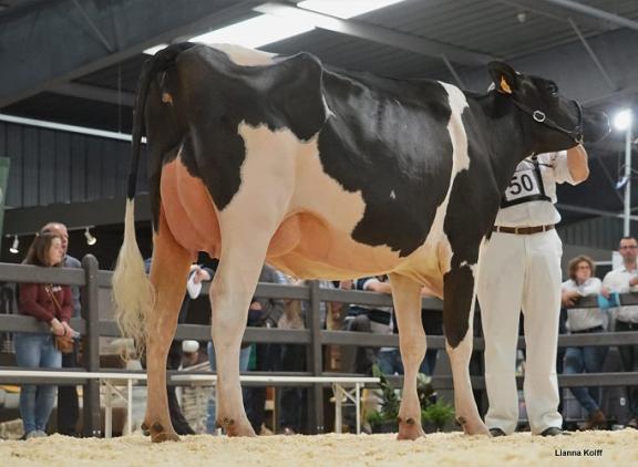 Olana won eerder dit jaar ook de vaarzentitel in Ravels en Bogaarden (foto: Lianna Kolff)