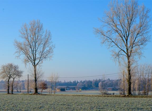 Dat Boerenbond schaalgrootte zou stimuleren is volgens de organisatie onjuist