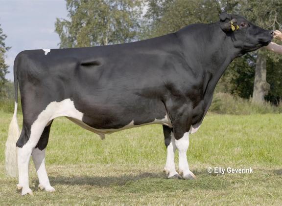 Rakuuna had in 2021 de meeste honderdtonners