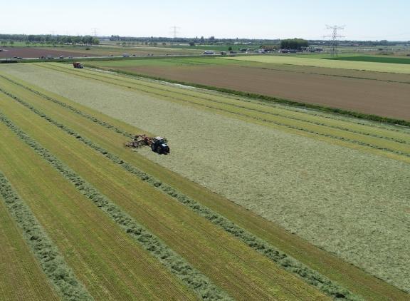 Wie gaat het landschap beheren wanneer veehouders dat niet meer doen?