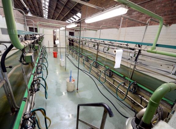 De melktechniek Calf35 is in elke melkstal te installereren