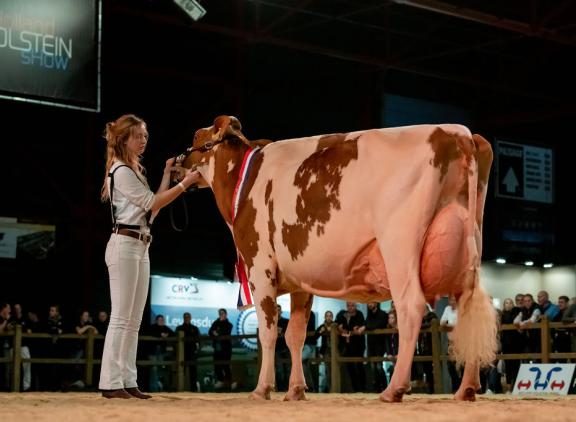 Heerenbrink Truus 4 wint het algemeen kampioenschap roodbont (foto Els Korsten)