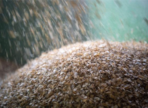 Ondanks de hoge prijzen voor landbouwgrondstoffen, zoals granen, verwacht Rabobank geen groei van de productie