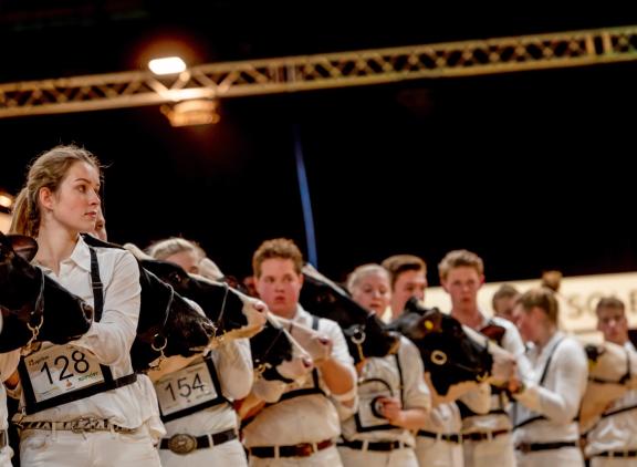 Aan de HHH-show nemen dit jaar ruim 440 dieren deel
