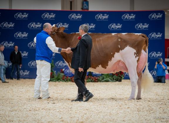 Maple won in Toronto het algemeen kampioenschap rood- én zwartbont