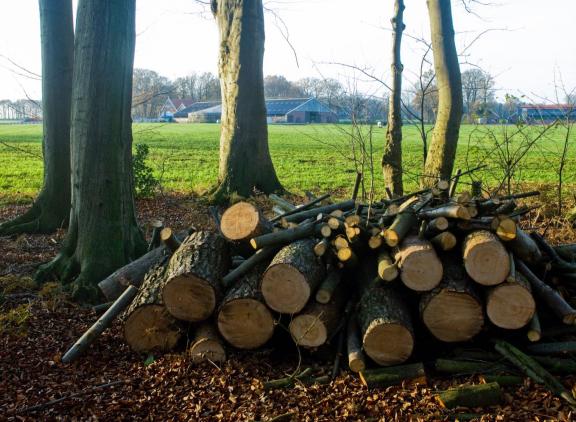 Pachters van provinciale landbouwgrond in Overijssel mogen hun percelen in 2023 niet bemesten, beweiden is wel toegestaan