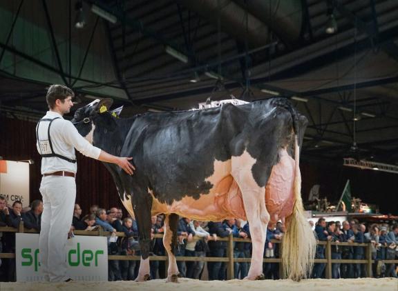 Op de vorige Zuidwesthoekkeuring zegevierde New Moore Esmeralda 38 (foto: Lianna Kolff)