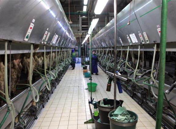 De gevolgen van de oorlog treffen niet alleen Oekraïne en Rusland, maar raakt volgens Smits door de stagnerende voedselproductie ook de rest van Europa en de wereld