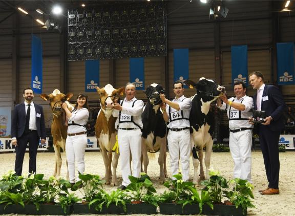 De kampioenen van Agriflanders 2019