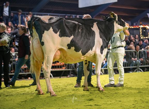 New Moore Esmeralda 103 won in Wanneperveen het algemeen kampioenschap