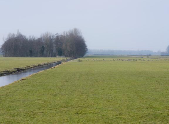 Grasland werd in 2022 4,7 procent duurder