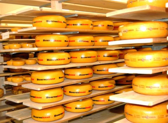 De exportwaarde van de productgroep ‘zuivel en eieren’ steeg in 2022 met 35 procent
