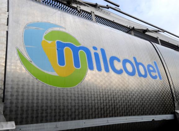 Milcobelleden beuren in januari een melkprijs van 55 euro per 100 liter bij 43 g vet en 35 g eiwit per liter