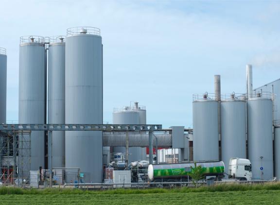 FrieslandCampina verwacht dat alternatieve eiwitten in de voedingsindustrie belangrijk worden als aanvulling op zuivelingrediënten
