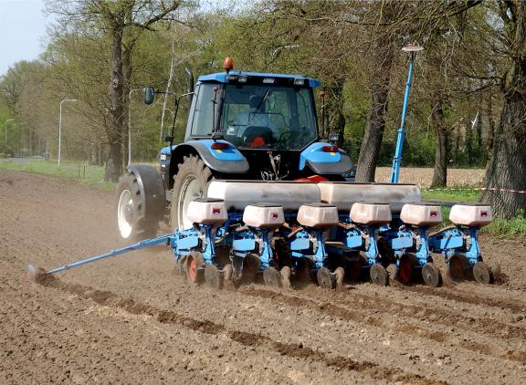 Kuanavo is een milieuvriendelijke biostimulant die wordt gebruikt bij maiszaadontsmetting