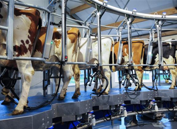 Het gemiddelde celgetal is vorig jaar met 12 procent gestegen vergeleken met 2021