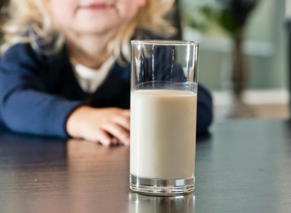 De combinatie van het kunnen verteren van lactose en het drinken van rauwe melk, resulteerde volgens Canadese wetenschappers in een sterker en groter skelet