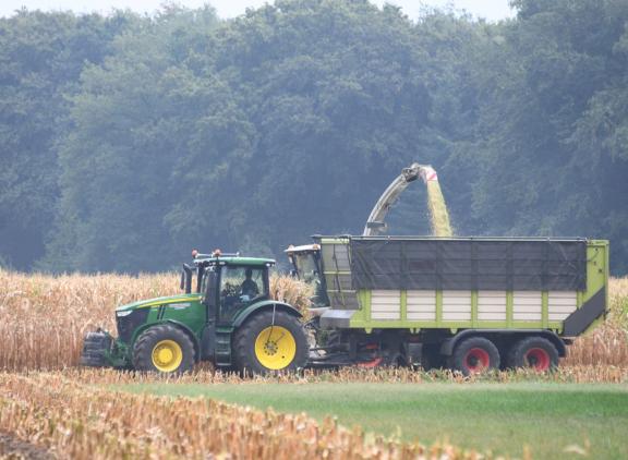 In de MaisChallenge wordt de hele snijmaisteelt, van zaaibedbereiding tot inkuilen, gevolgd en beoordeeld 