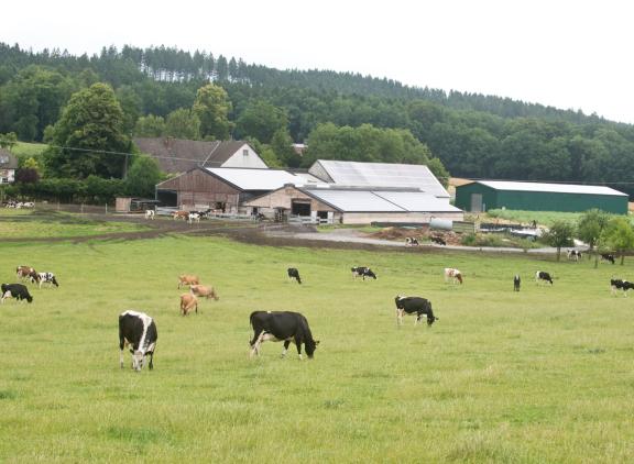 Vorig jaar werd er in Duitsland en Frankrijk fors meer biologische melk geproduceerd dan werd geconsumeerd