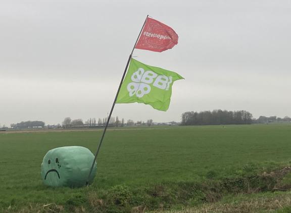 De partij BBB heeft een onverwacht grote zege behaald bij Provinciale Statenverkiezing