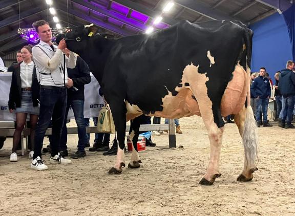 Hedra Sneeker 721 P was zowel de favoriet van de jury als van het publiek