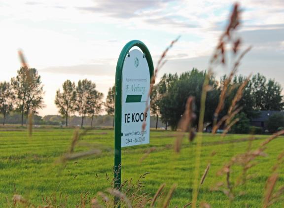 De prijs van grasland steeg met zeven procent naar ruim 66.000 euro per hectare